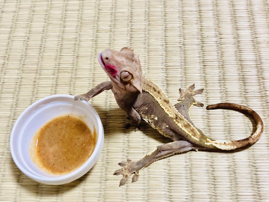 ヤモちゃん20210702