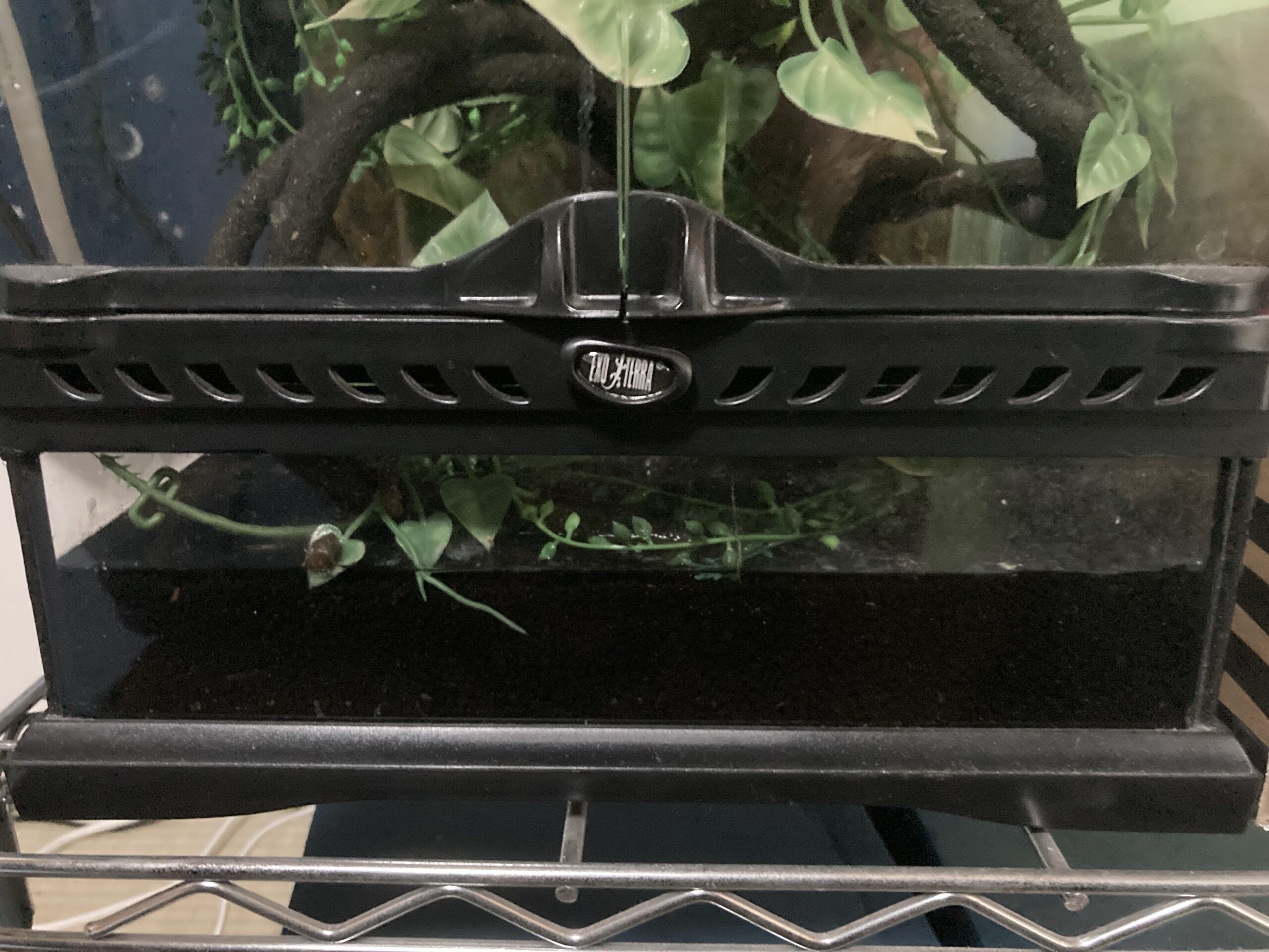 ヤモちゃんケージ