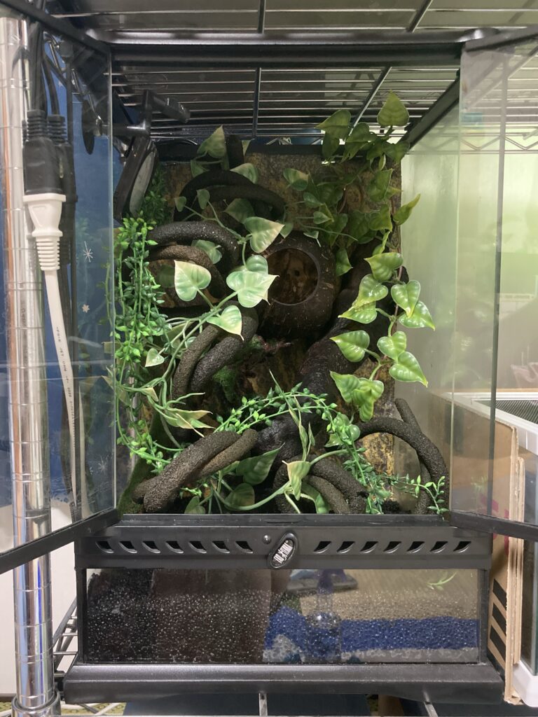 ヤモちゃん飼育環境