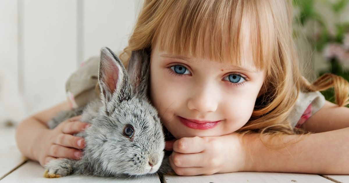 子どもとウサギ