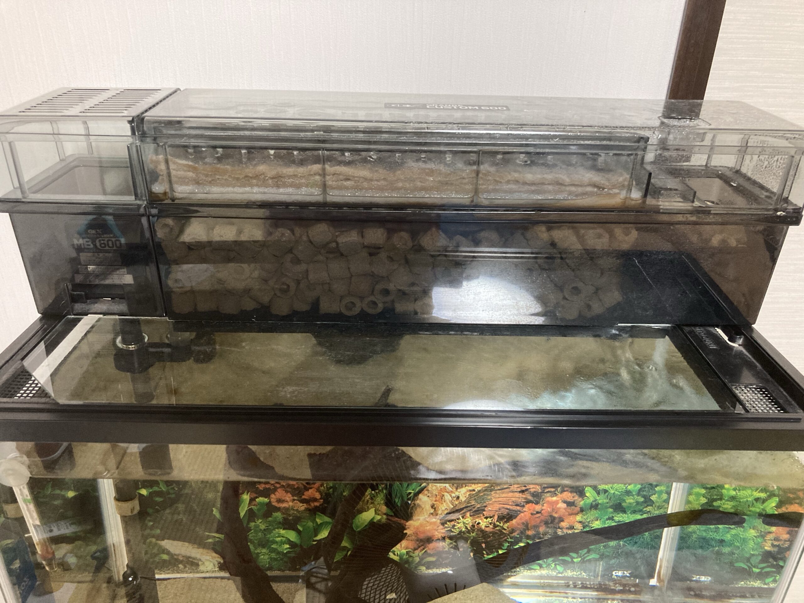 グランデカスタム600