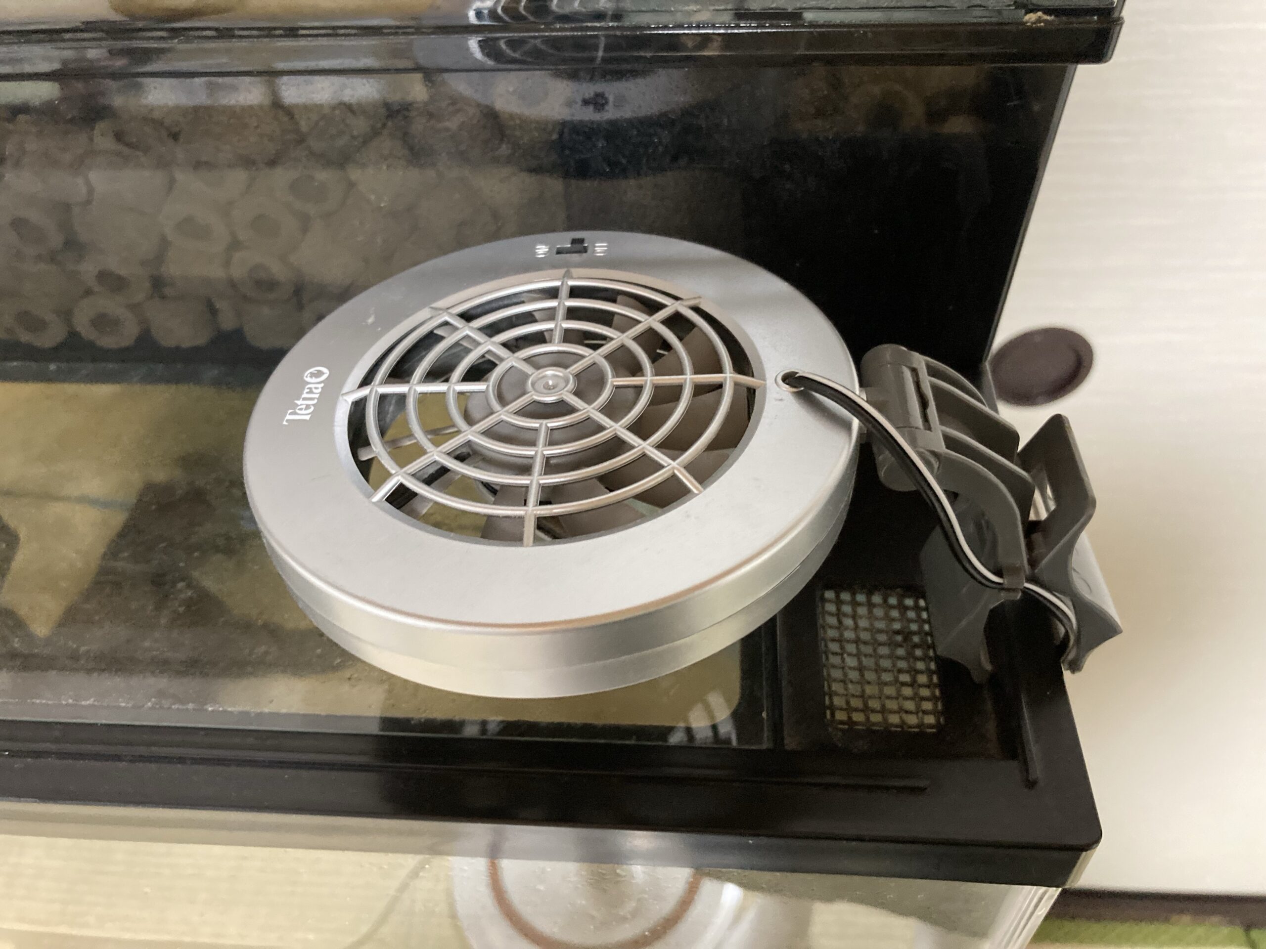 テトラ クールファン1