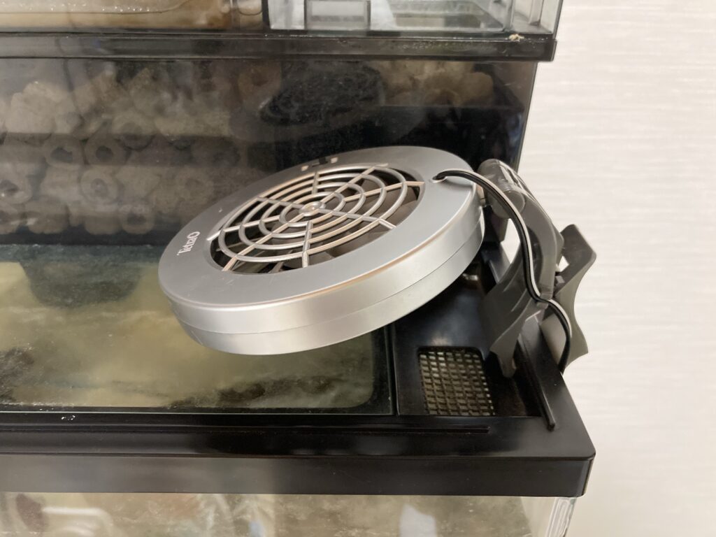 テトラ クールファン6